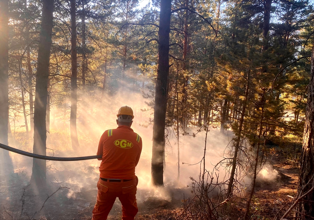Kars'ta ormanlık alanda çıkan örtü yangını söndürüldü