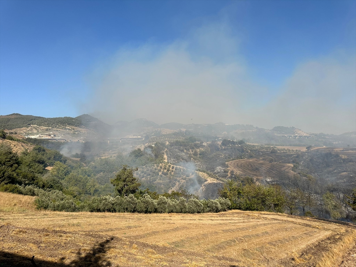 Osmaniye'de çıkan orman yangını kontrol altına alındı