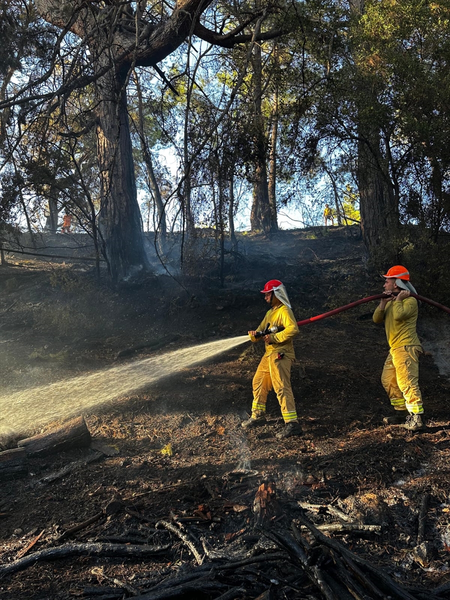 Muğla'da ormanlık alanda çıkan yangın söndürüldü