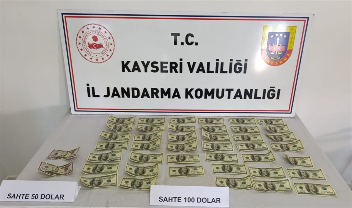 Kayseri'de sahte dolar operasyonunda 1 kişi yakalandı
