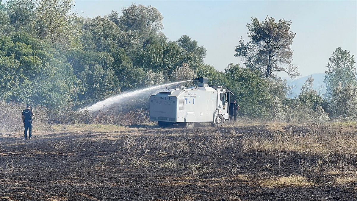 Bartın'da çıkan anız yangını ağaçlık alana sıçradı