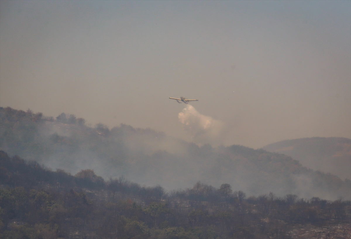 Bursa'da makilik alanda çıkan yangın kontrol altına alındı