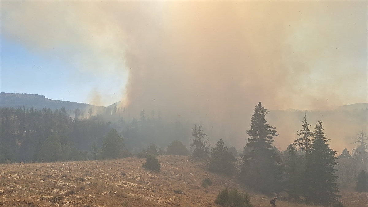 Karaman'da ormanlık alanda çıkan yangınlara müdahale sürüyor