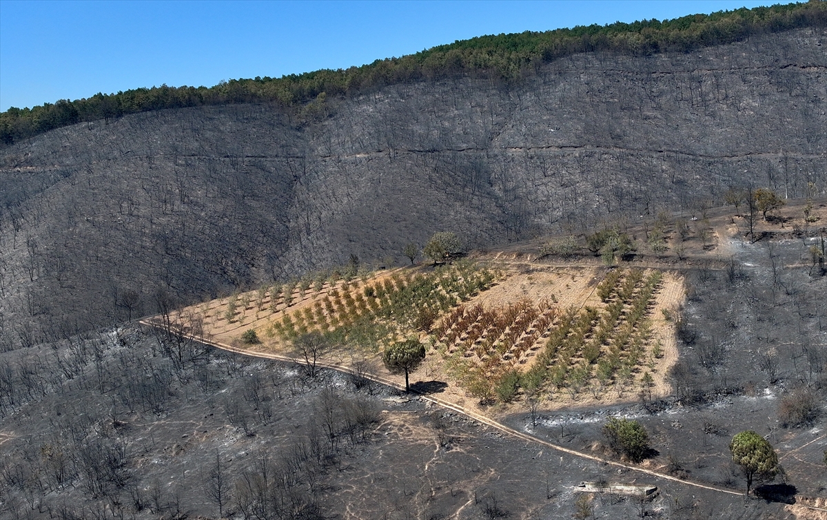 Kocaeli'de yangından zarar gören alanlar havadan görüntülendi