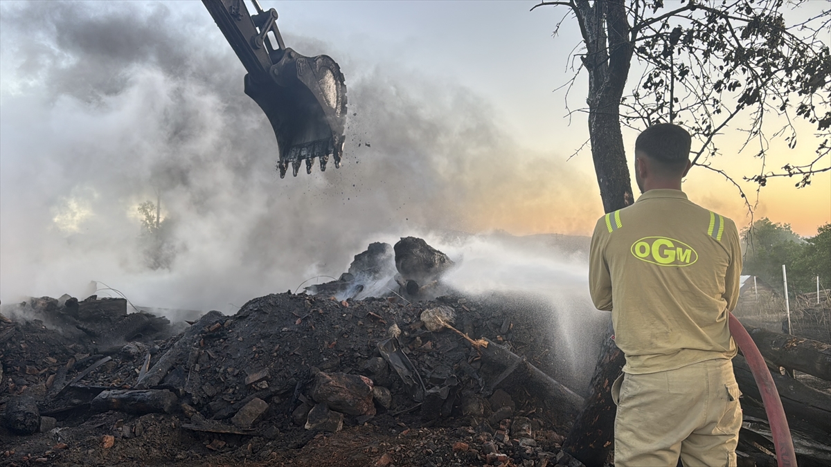 Bolu'da tarlada başlayan yangında 3 ev, 2 ahır ve 2 samanlık yandı