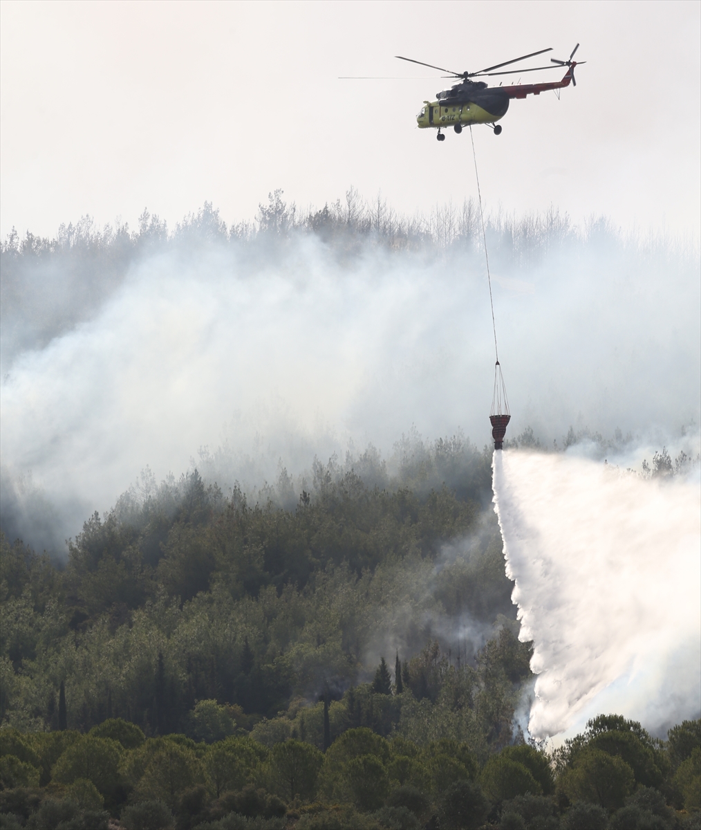 Çanakkale Gelibolu'da ormanlık alandaki yangına müdahale 2. gününde sürüyor
