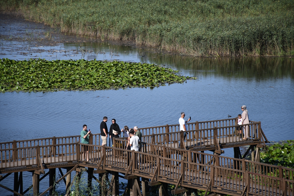 Efteni Gölü Kuş Cenneti hafta sonu doğa tutkunlarını ağırladı