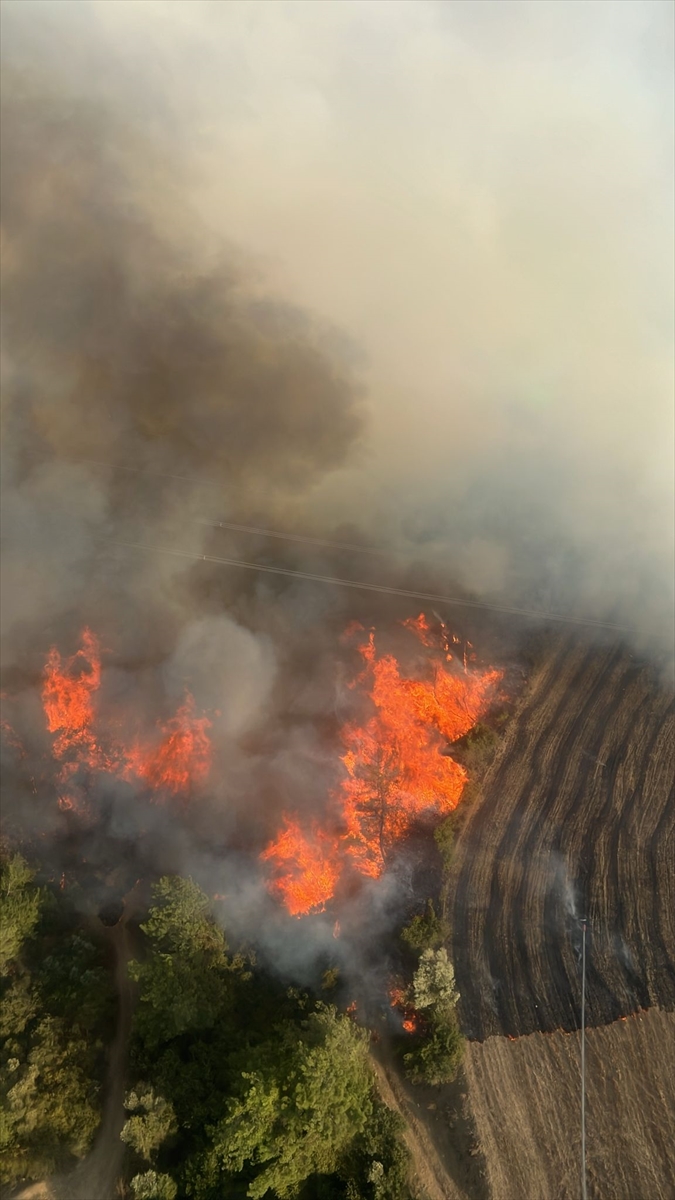 Adana'nın İmamoğlu ilçesinde orman yangını çıktı