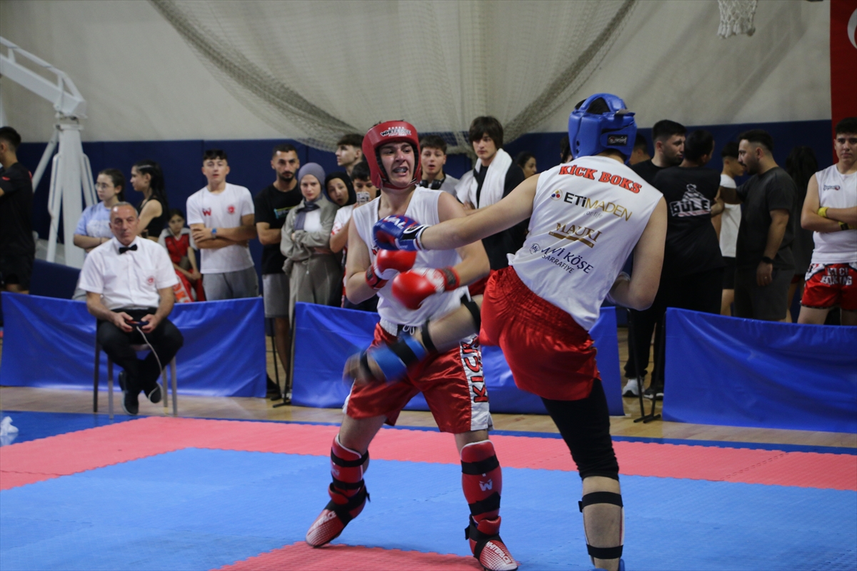 Kütahya'da Zafer Kupası Kick Boks Turnuvası düzenlendi