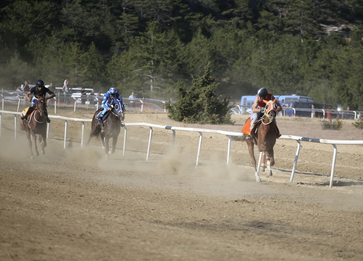 35. Uluslararası Kültür ve Sarımsak Festivali kapsamında at yarışı düzenlendi