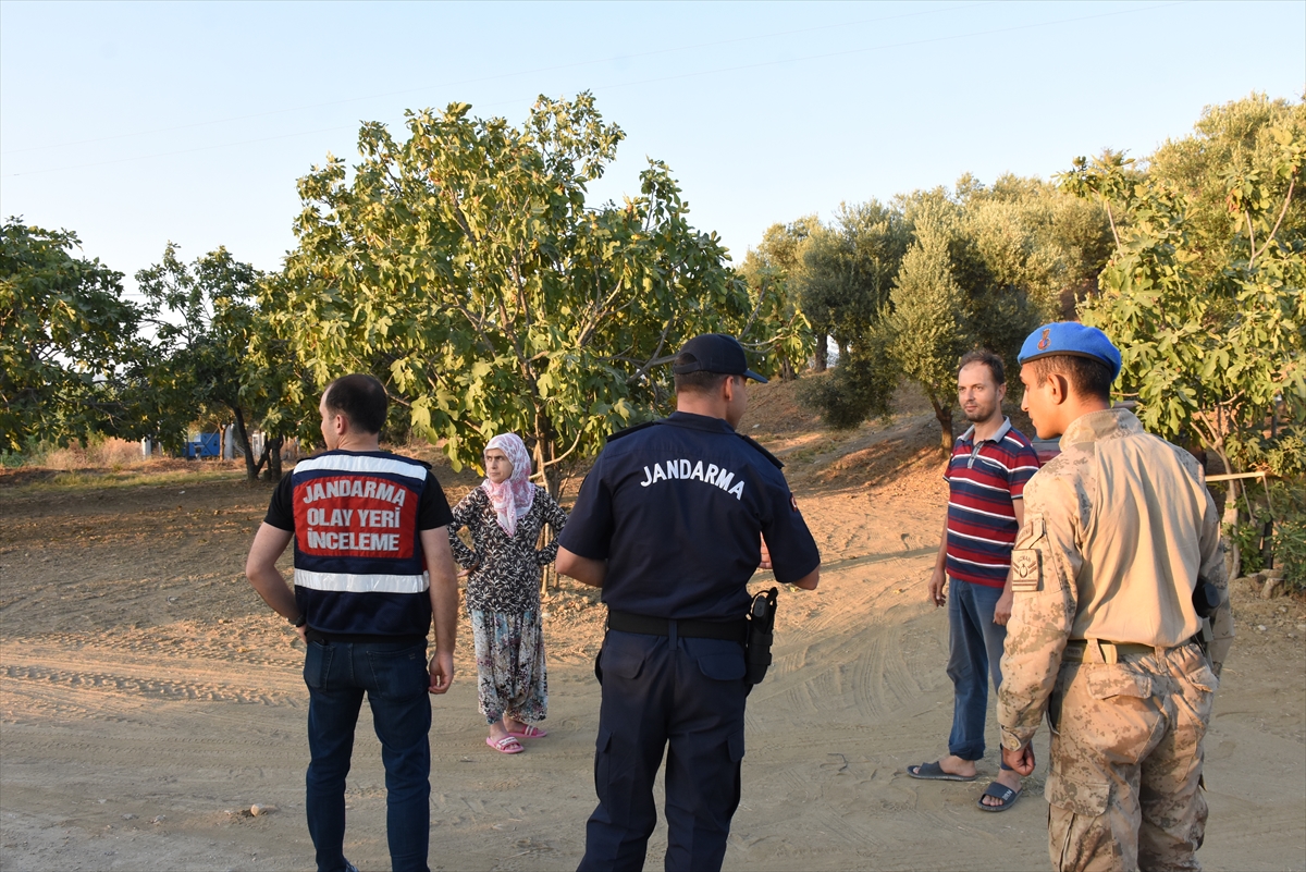 Aydın'da jandarma, incir ve zeytin bahçelerindeki hırsızlıkları önlemeye yönelik uygulama yaptı