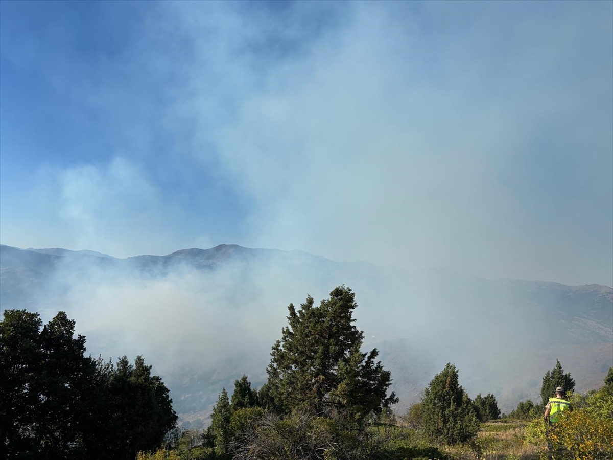 Gümüşhane'de çıkan orman yangınına müdahale ediliyor