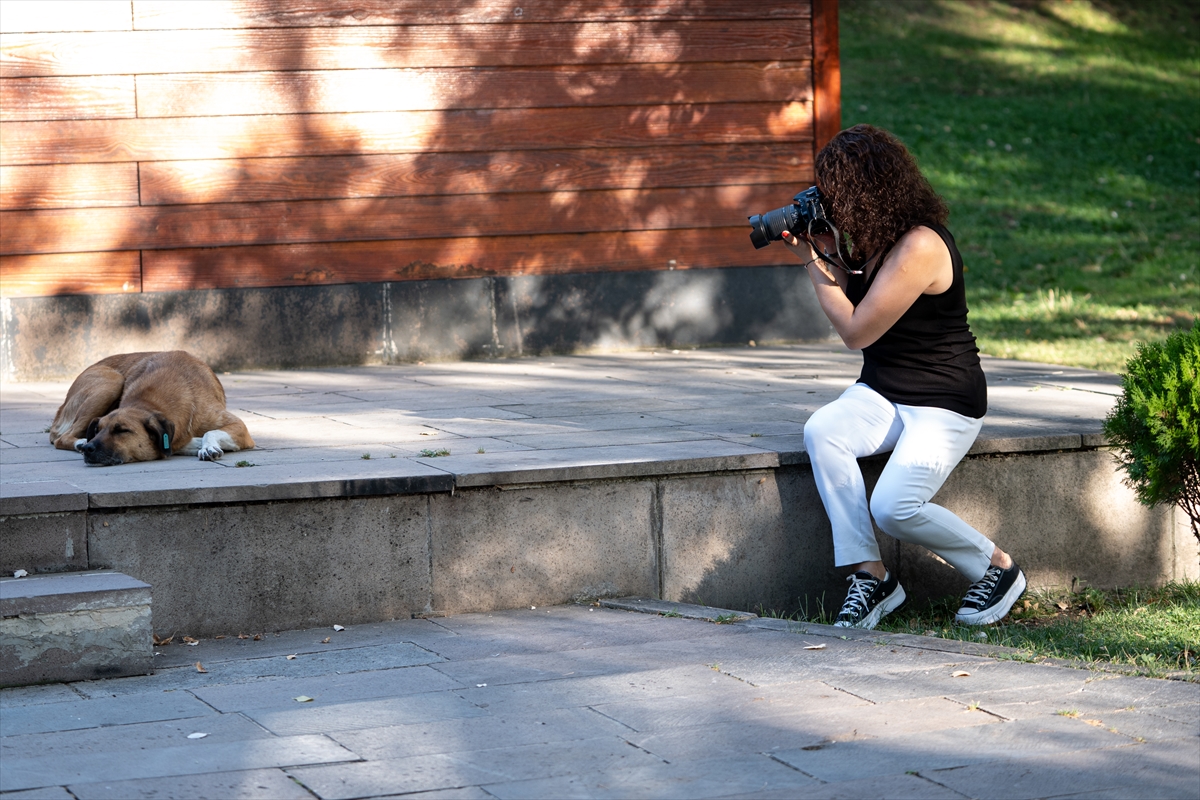 Hobi olarak başladı ödüllü fotoğrafçı oldu