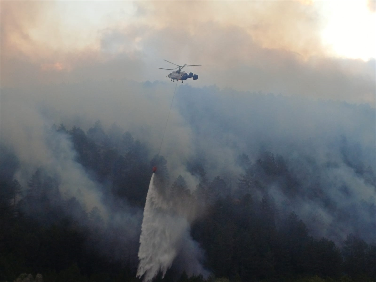 Bolu'da ormanlık alanda çıkan yangın kısmen kontrol altına alındı