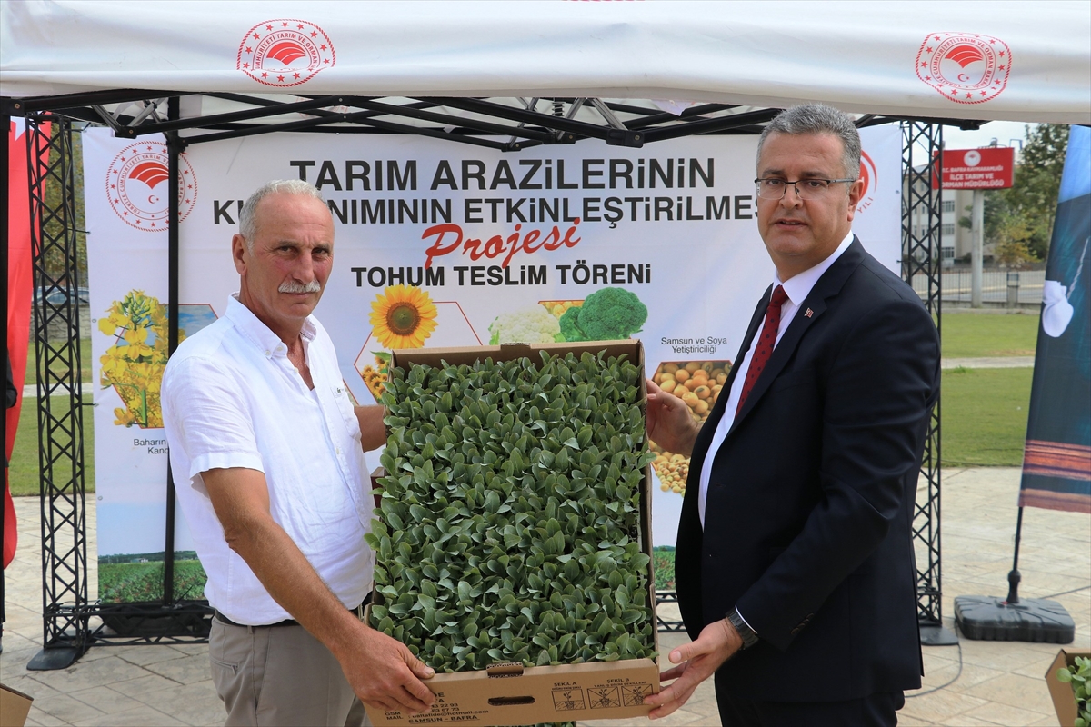 Bafra Ovası'nda üreticilere 347 bin 904 sebze fidesi dağıtıldı