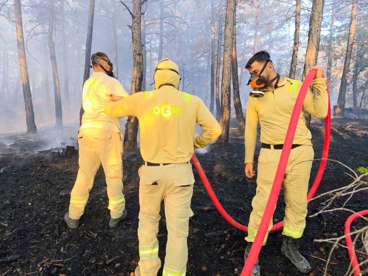 Bolu'da kontrol altına alınan orman yangınında soğutma çalışmaları sürüyor