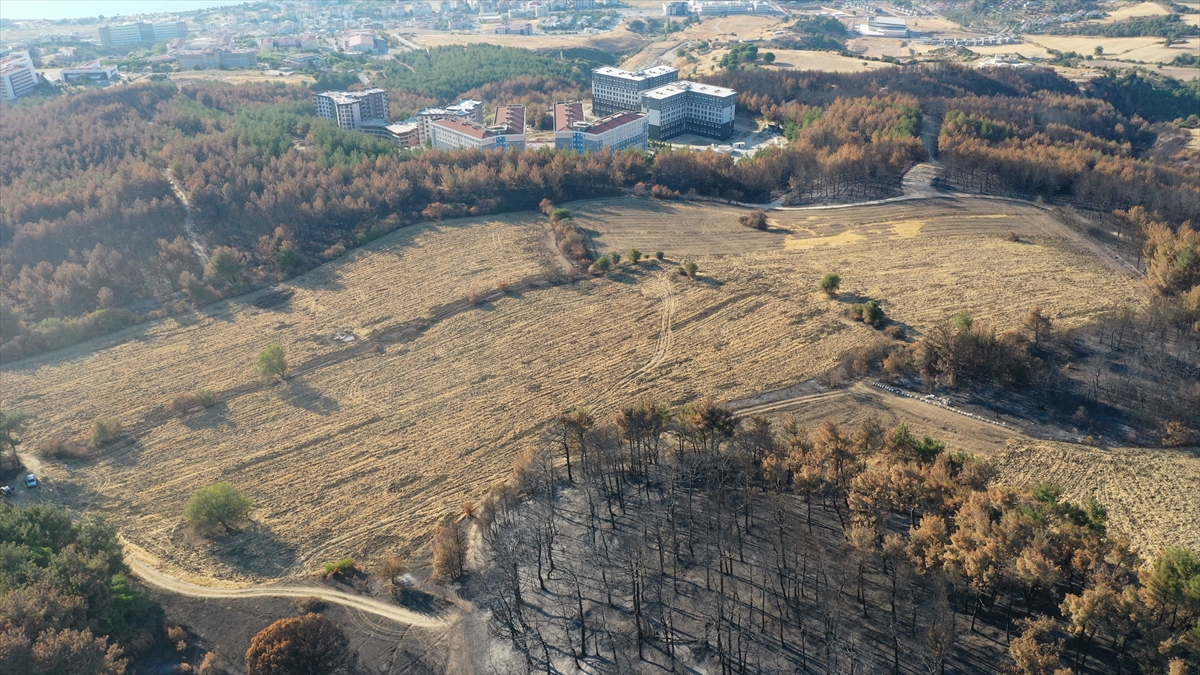 Anızı toprağa karıştırmak zirai alanı orman yangınlarından koruyor