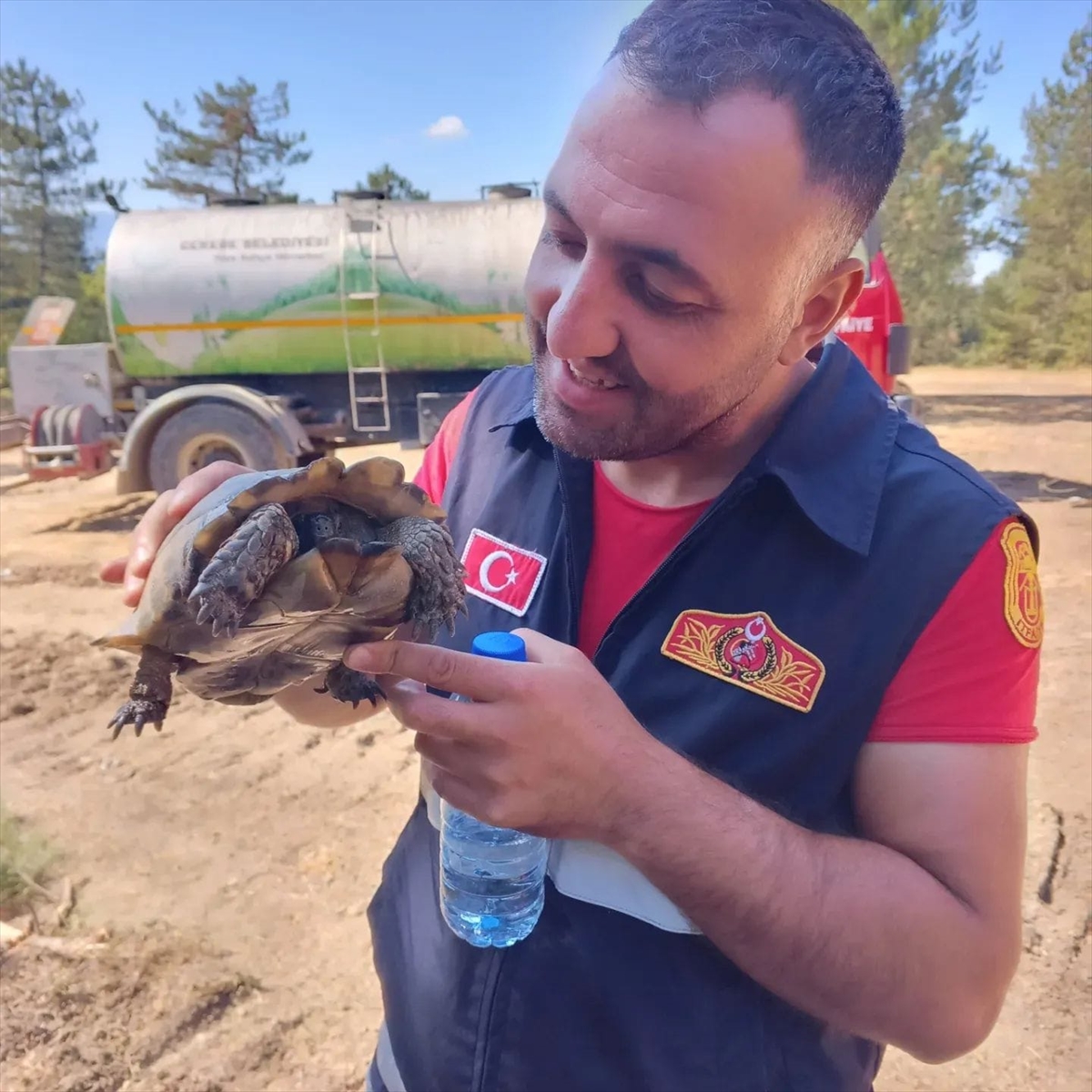 Bolu'da yangından etkilenen kaplumbağayı itfaiye personeli kurtardı