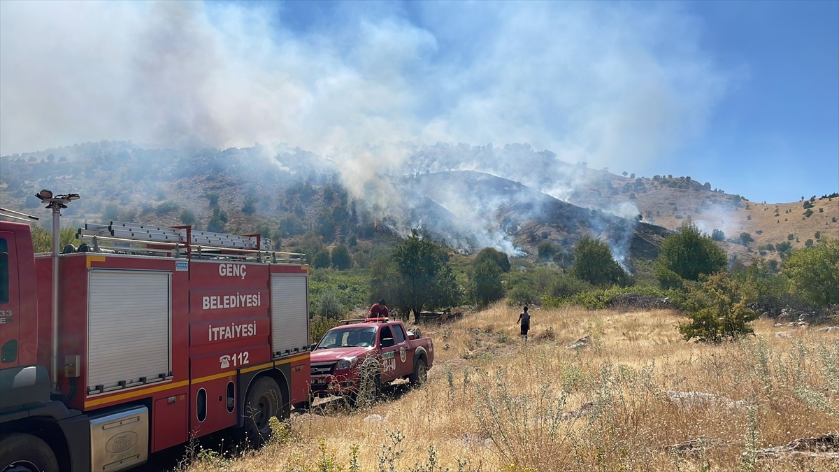 Bingöl'de ormanlık alanda çıkan yangına müdahale ediliyor