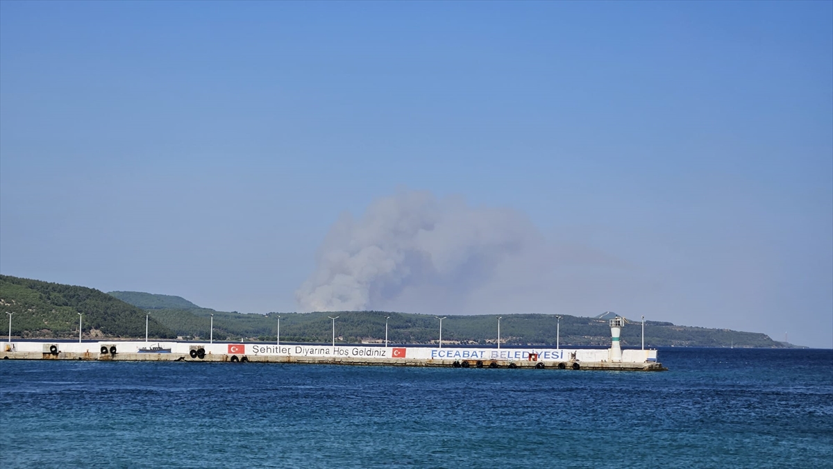 Çanakkale Gelibolu'da çıkan yangına müdahale ediliyor