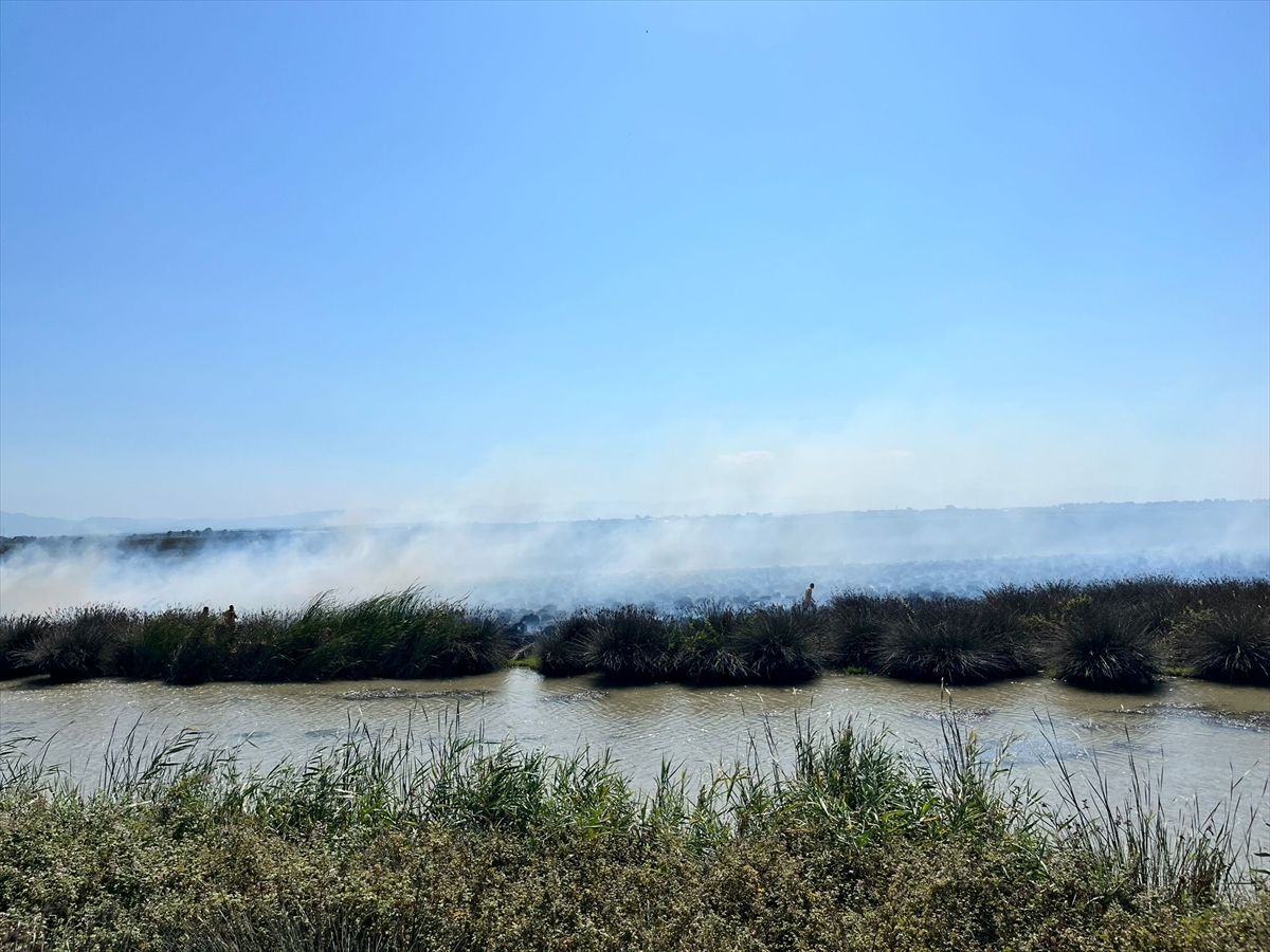 Kızılırmak Deltası Kuş Cenneti'nde yangın