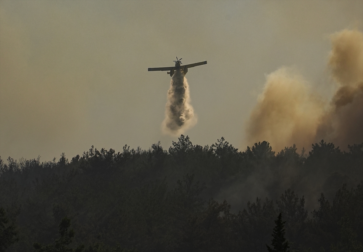İzmir'de tarım alanında başlayıp ormana sıçrayan yangına müdahale ediliyor
