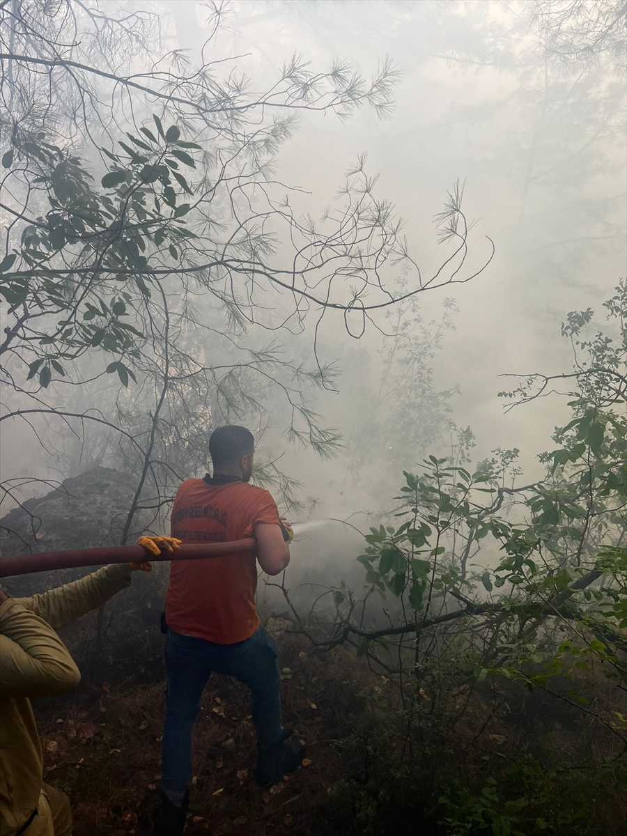 Antalya'da çıkan orman yangını kontrol altına alındı