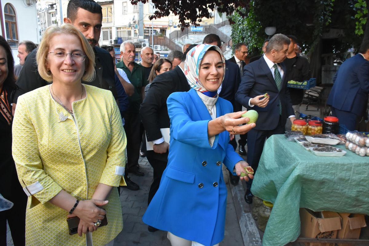 Aile ve Sosyal Hizmetler Bakanı Göktaş, Artvin'de konuştu:
