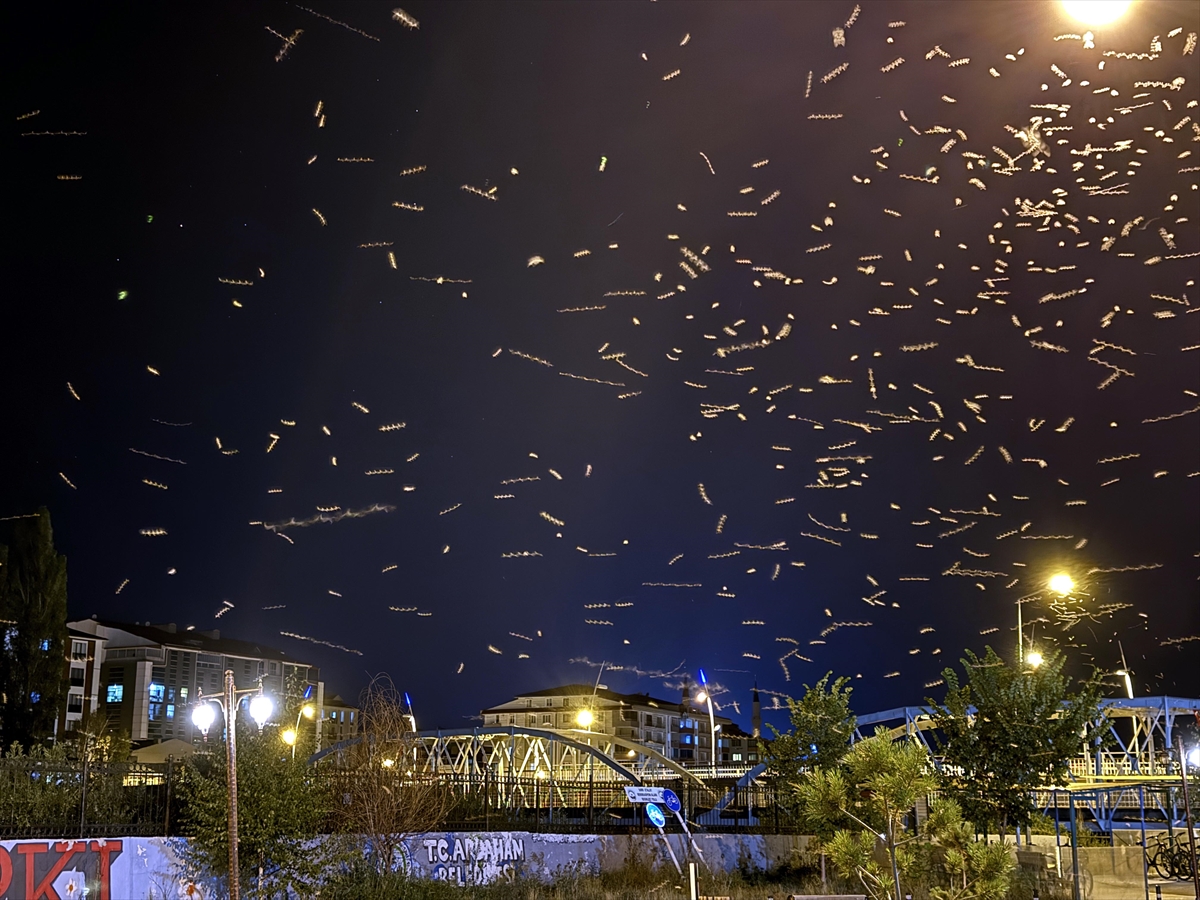 Ölüm Dansı Devam Ediyor