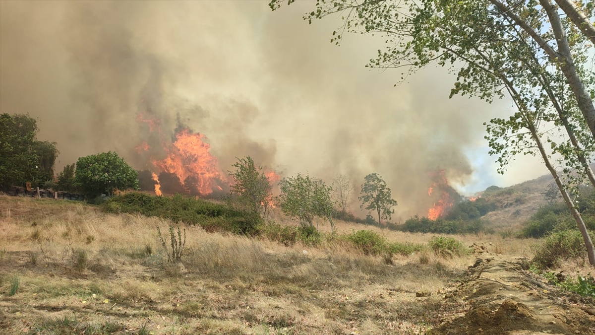 Kocaeli'de otluk alanda çıkan yangın söndürüldü