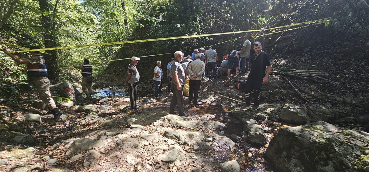 Ordu'da fındık toplarken yamaçtan düşen kişi öldü