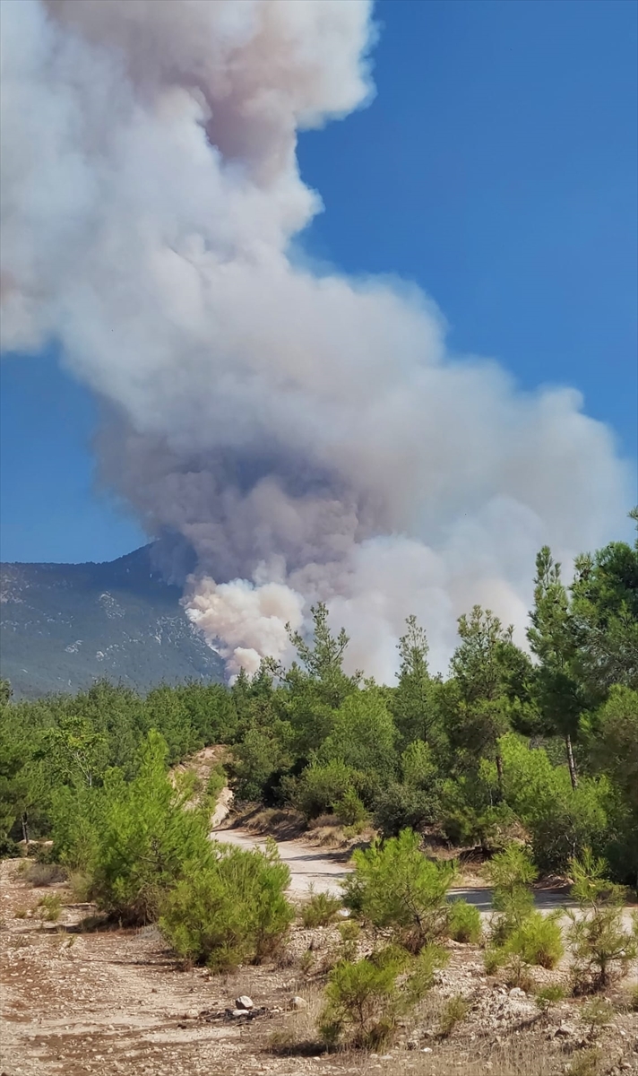 Denizli'nin Pamukkale ilçesinde orman yangını çıktı