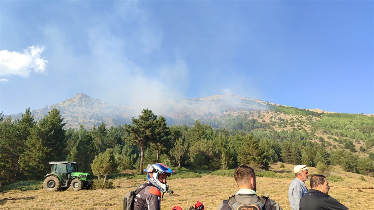Gümüşhane'de dağlık alanda çıkan örtü yangını kontrol altına alındı