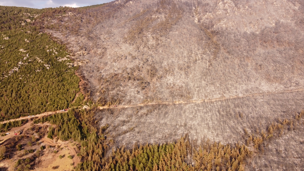 Pamukkale'deki orman yangını kontrol altına alındı