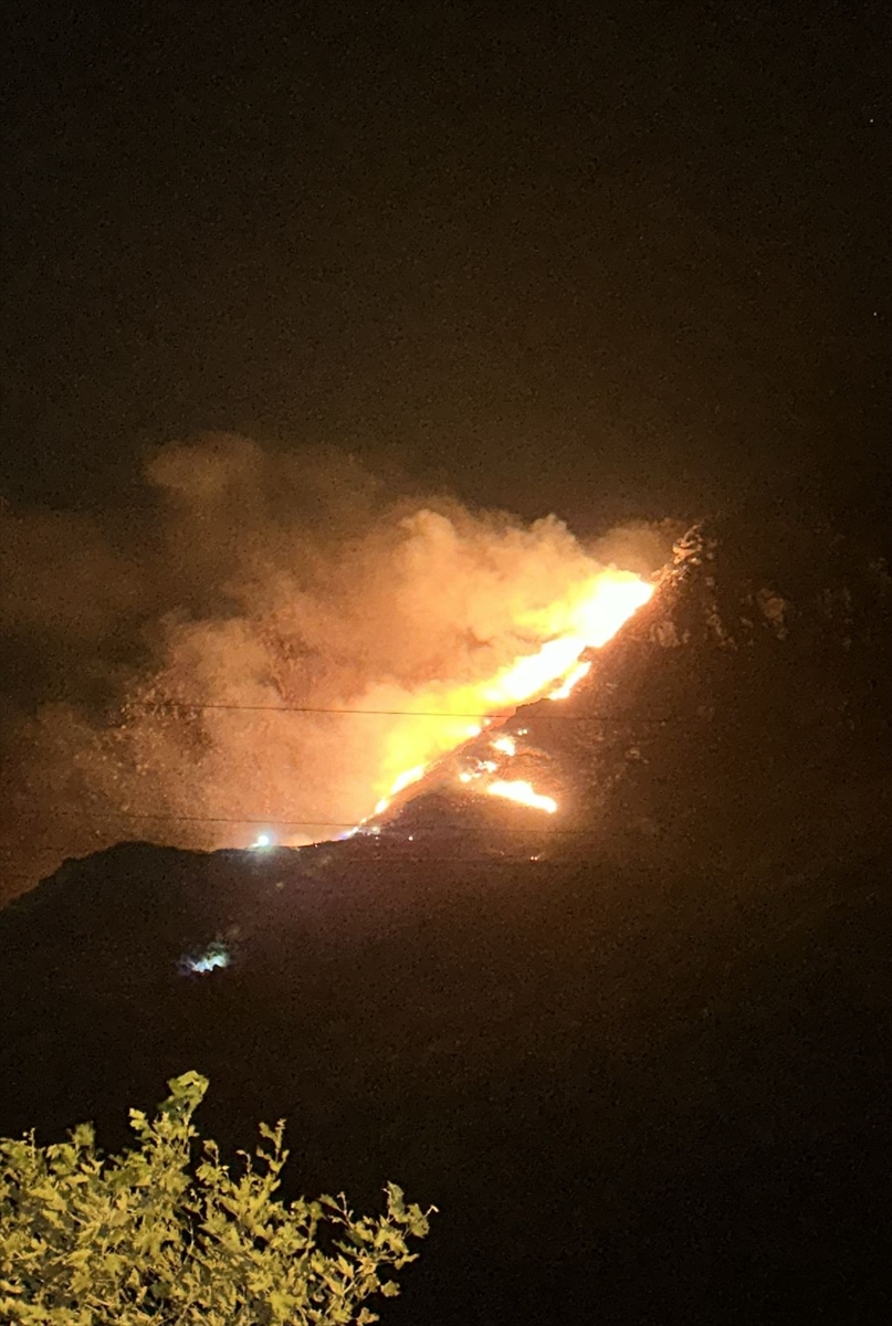 Balıkesir'de Marmara Adası'nda çıkan orman yangını kontrol altına alındı