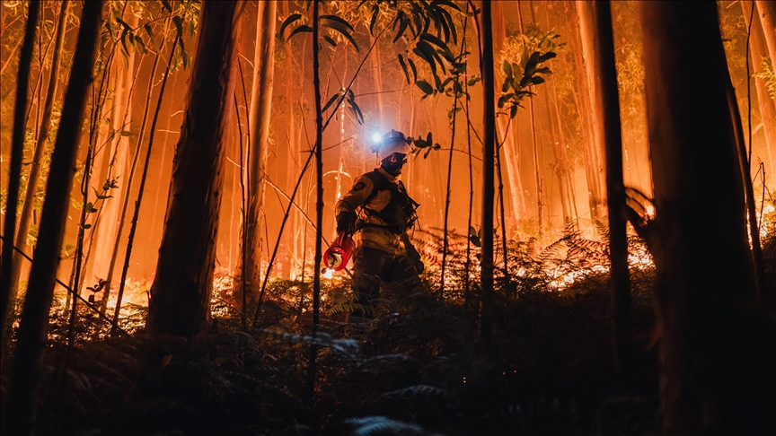İspanya'da geçen yıla göre bu yıl 10 kat fazla ormanlık ve kırsal alan yandı