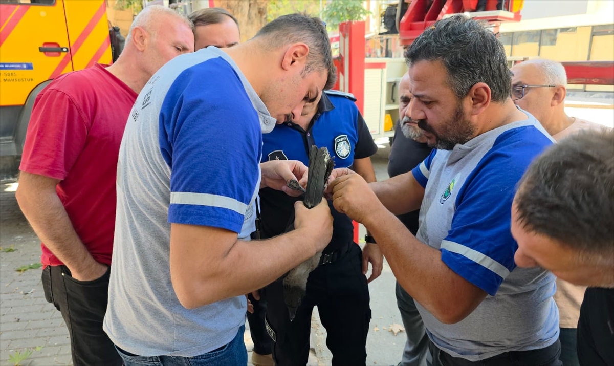 İtfaiyeciler bu kez Bursa’da Kargayı kurtardı