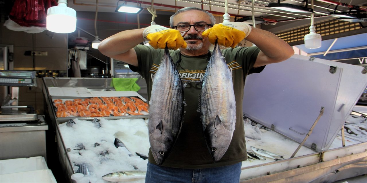 Karadeniz’de balıkçılar palamutta umduğunu bulamadı, ağlara sürpriz torikler takıldı.