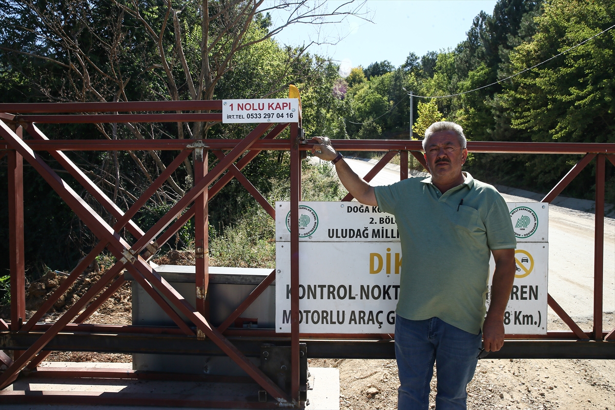 Bursa'da bir muhtar ormana izinsiz girişleri engellemek için 3 farklı noktaya bariyer yaptırdı