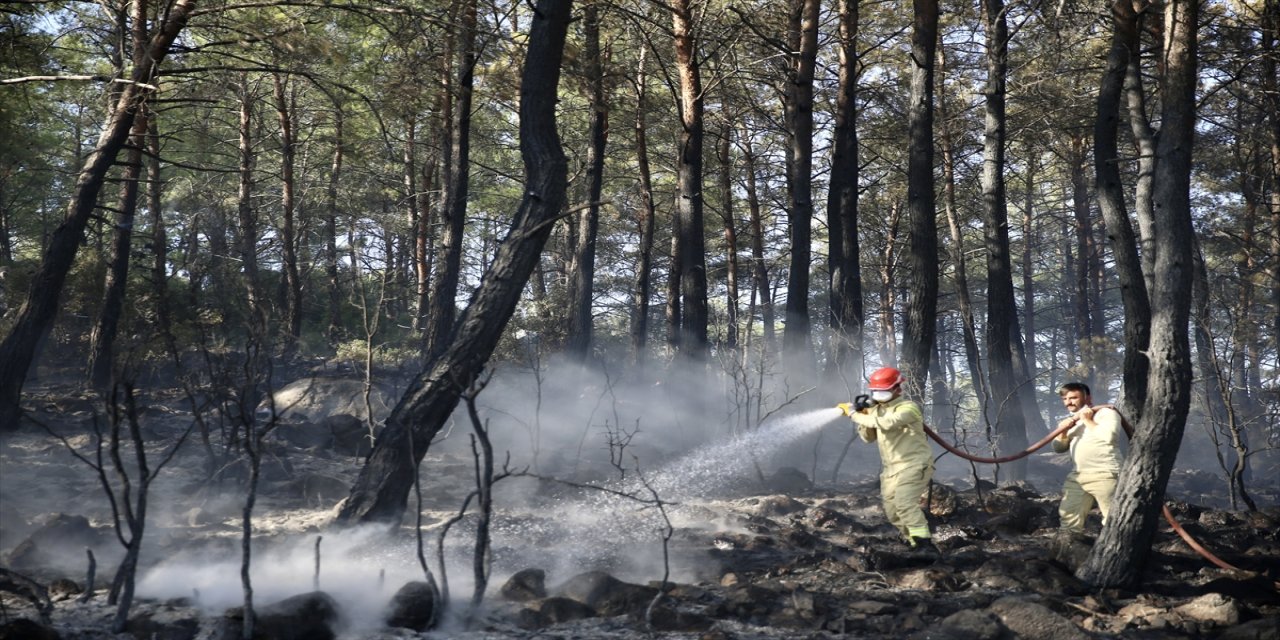 Fethiye’de orman yangını havadan ve karadan müdahaleyle kısa sürede kontrol altına alındı