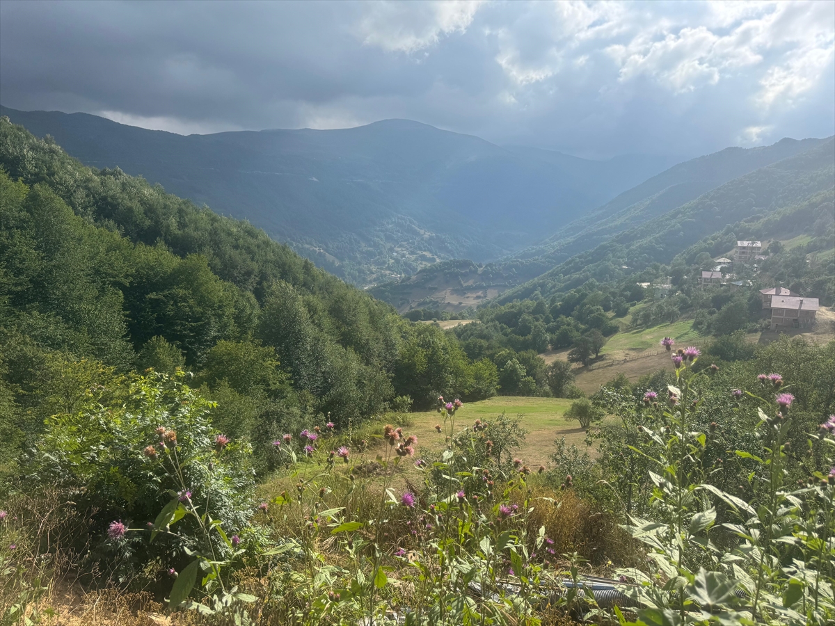 Kulakkaya Yaylası'nın turizm potansiyelinin artırılması hedefleniyor