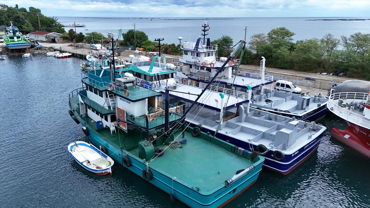 Karadenizli balıkçılar yeni sezonda hamsiden umutlu