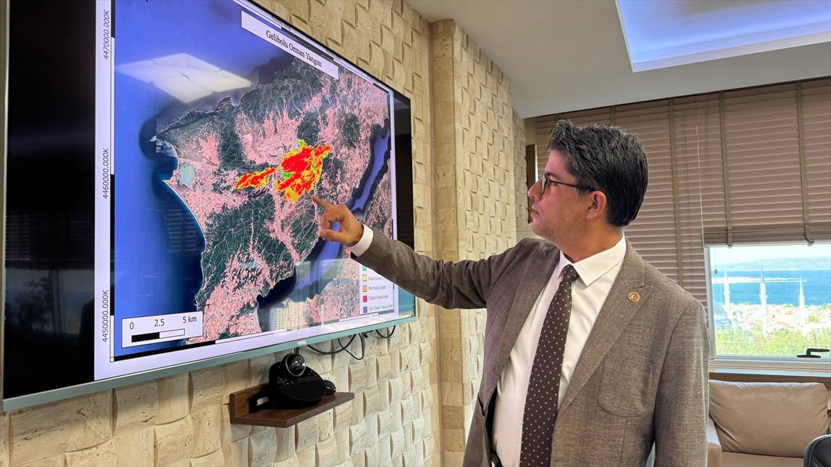 Çanakkale yangınlarının etki alanları uydu fotoğraflarıyla modellendi