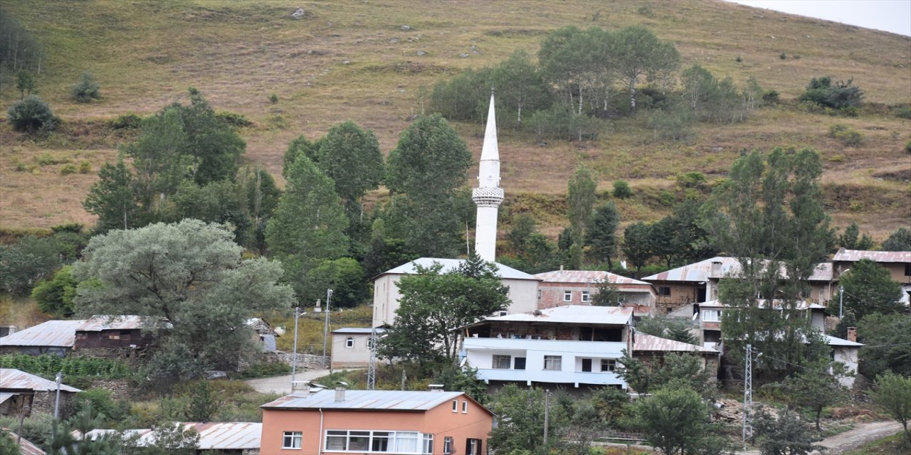 Gümüşhane Torul’da emekli din görevlisi Ali Ural 50 bini aşkın fidan dikti