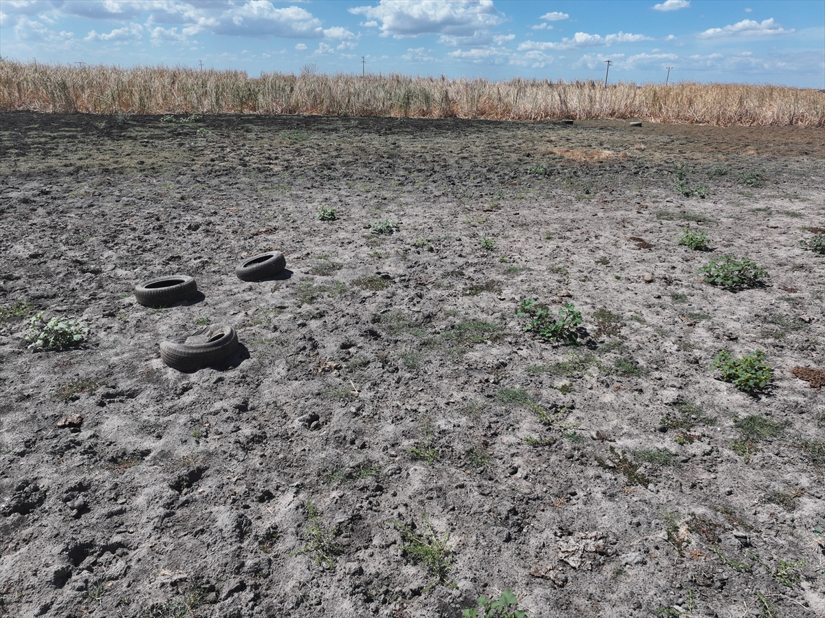 Edirne Tehlike Sinyalleri Veriyor