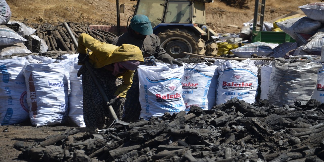 Muş'ta mangal kömürü üreticileri 40 derece sıcakta ateş başında günlerce çalışıyor