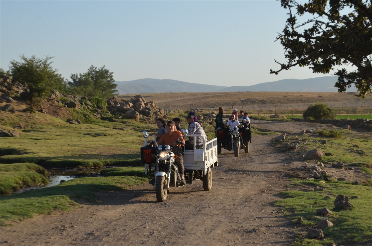 Muş'ta "berivanlar" üç tekerlekli motosikletlerle yaylaya çıkıyor