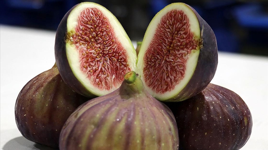 Tariş, kuru incir alım fiyatlarını açıkladı. Üreticiler Memnun mu?