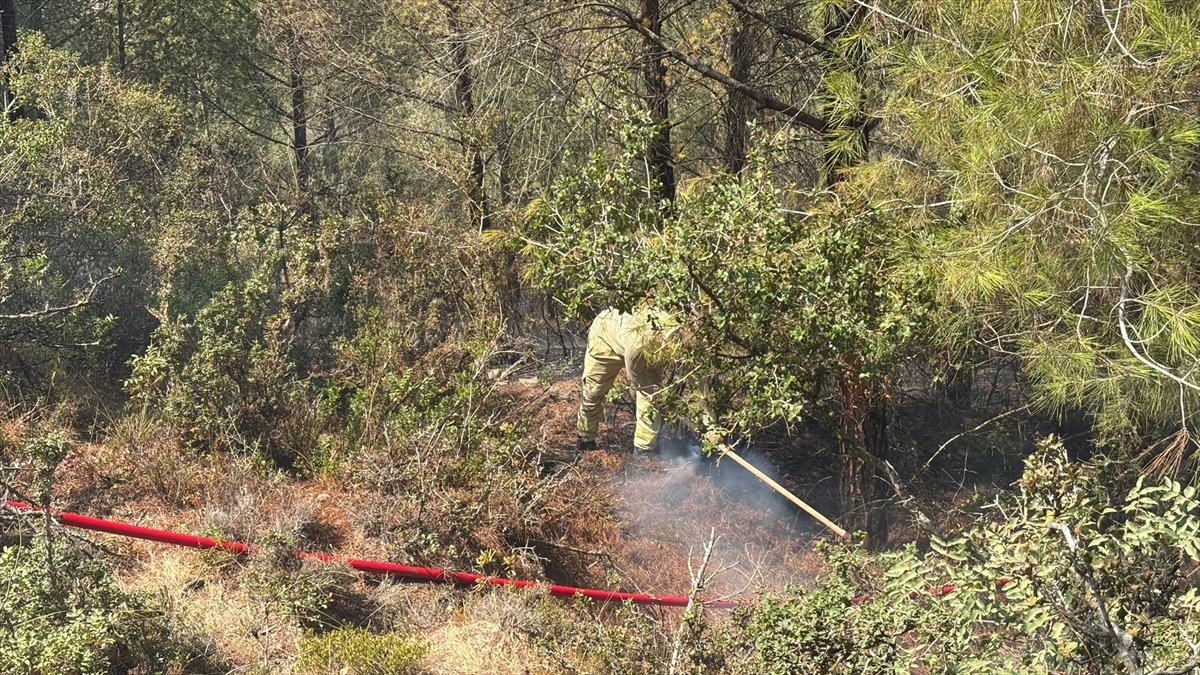 Adana'da çıkan orman yangını kontrol altına alındı