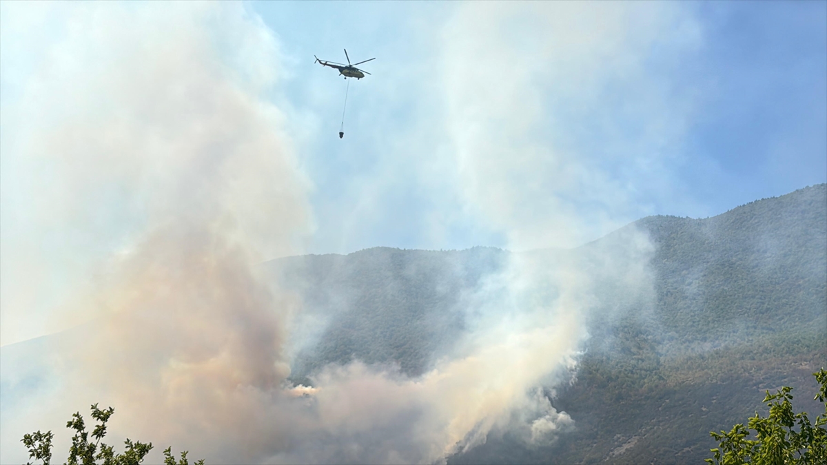 Bartın'da ormanlık alanda çıkan yangına müdahale ediliyor